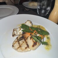 フィオレンティーナ -  フィオレンティーナ -