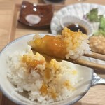 ヒシミツ醤油 - 