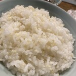 草原の羊 - ご飯