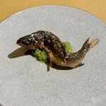 2tsumoli  - 那珂川の鮎