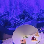 上野 アクアリウムレストラン Nautilus - 