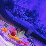 上野 アクアリウムレストラン Nautilus - 