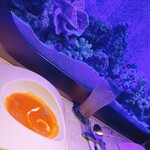 上野 アクアリウムレストラン Nautilus - 