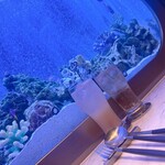 上野 アクアリウムレストラン Nautilus - 