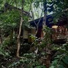 山の茶屋 - 明かりが灯っている。山の中の茶屋のようであり、そうでないようであり…