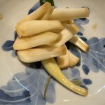 利庵 - しまらっきょう