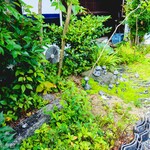 ヨコクラうどん - お店外観