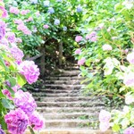 伊豆下田蓮台寺温泉清流荘 - 