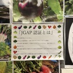 レストラン シェ・マシオ - 