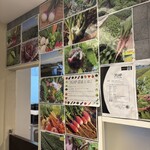 レストラン シェ・マシオ - 