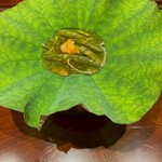 銀座 和牛割烹 うしごめ - 