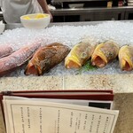 味処 明島 - 地物、天然物