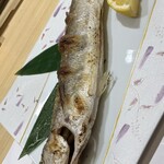 味処 明島 - カマスの塩焼き(3,300円)