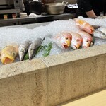 味処 明島 - 地物、天然物