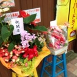 めだかタンタン - 3回目