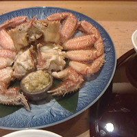 日本料理 ざぜん - 毛蟹！