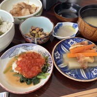 あそび割烹 さん葉か -  あそび割烹 さん葉か -