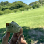 ドンクエディテ - 料理写真:あおさの緑がわかりにくい緑をバックに