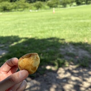 ドンクエディテ_1