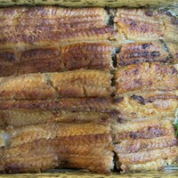 うなぎ割烹 白金台 まつ本 - 