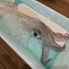 海中魚処 萬坊 呼子本店