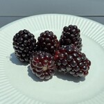 道の駅 藤樹の里あどがわ - 料理写真: