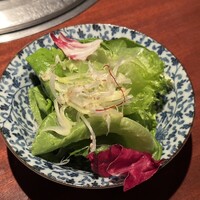 よろにく - 塩だれサラダ