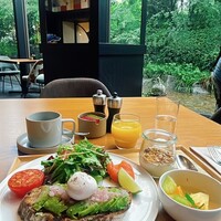 KOSA - 