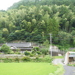 和・カフェ 蛍茶園 - お店の背景は一面の緑。