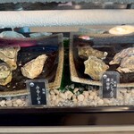 歌舞伎町 牡蠣BASARA - 