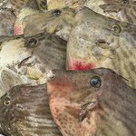 厚岸水産 かき小屋 - 