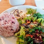 ホドホド野菜 - 