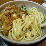 めん家 - うどんは太麺、もちもちでした。