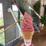 道の駅 みなべうめ振興館 - 