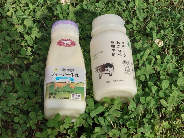 ハルニレポッポ - 緑が丘（カフェ）の写真