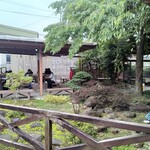 山越うどん - 自然の風が感じられる