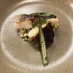 ファンケル ブラウンライス ミイルズ - 