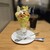 キハチカフェ - 料理写真: