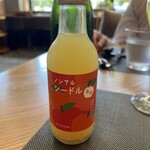 Jose Luis Karuizawa - 