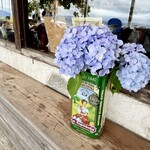 ペスカトーレ - 