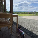 悠林館 - 犬バカで申し訳ない