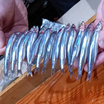 鮨匠 のむら - 子持ちキビナゴ