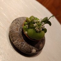 ル スプートニク - 