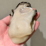 くすのき - 氷見産　特大