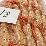 くすのき - 新湊特大ボタンエビ