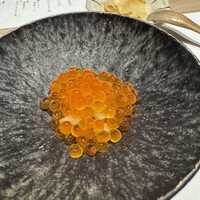 銀座 すし 仙道 - 