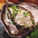 居酒屋 相馬 - 岩牡蠣(？円)