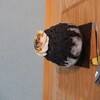 かき氷 くまさん