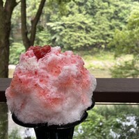 黒茶屋 -  黒茶屋 -