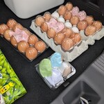 産みたてたまご キムラファーム - 